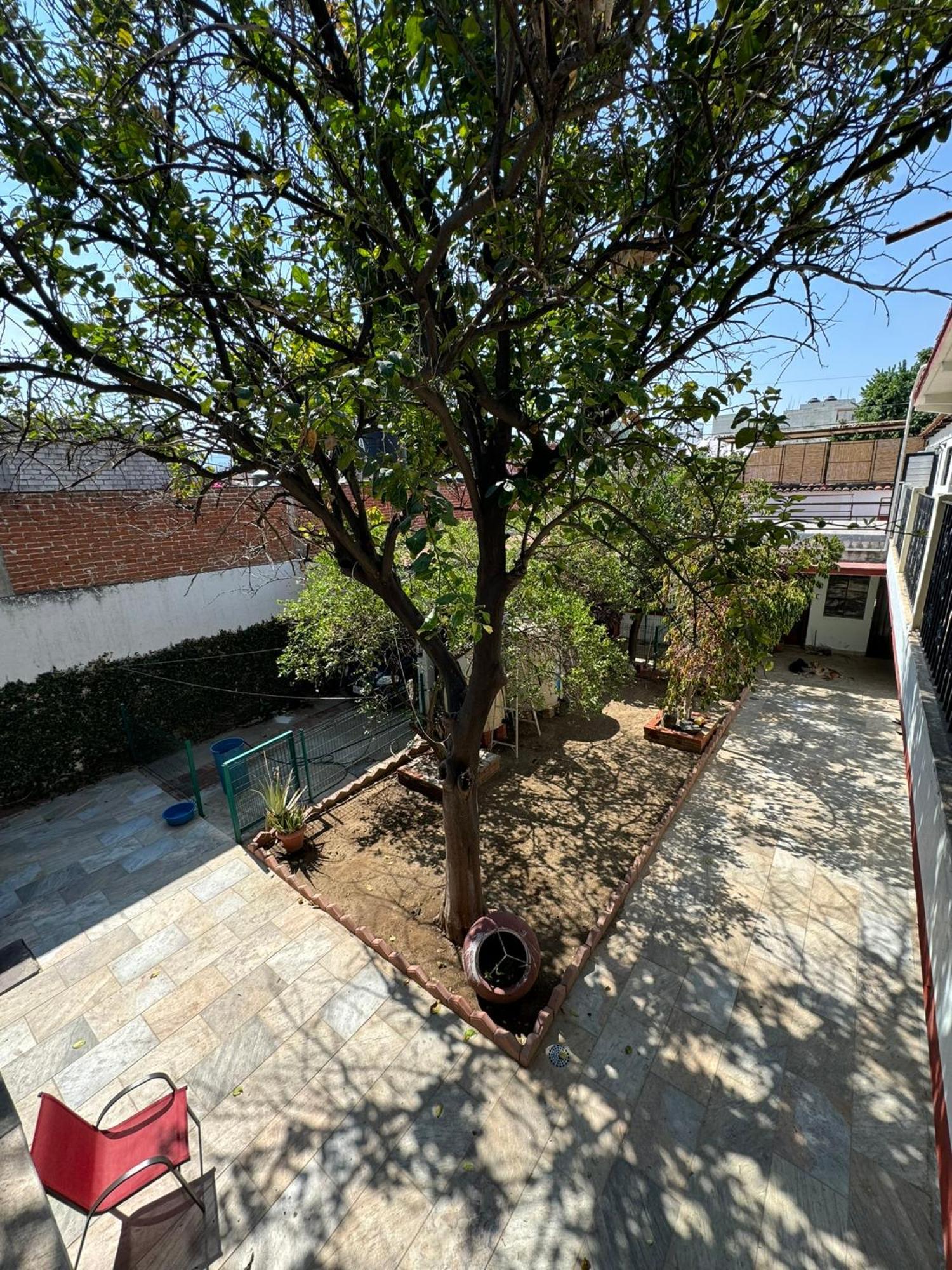 The Florenthina'S House Oaxaca Exterior photo